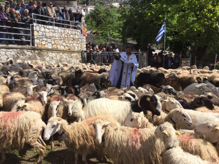 Στην Ασή Γωνιά ο Περιφερειάρχης στην εορτή του Αγ Γεωργίου των Κτηνοτρόφων
