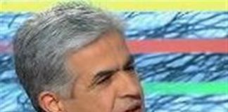 Καθεστωτικός ακτιβισμός