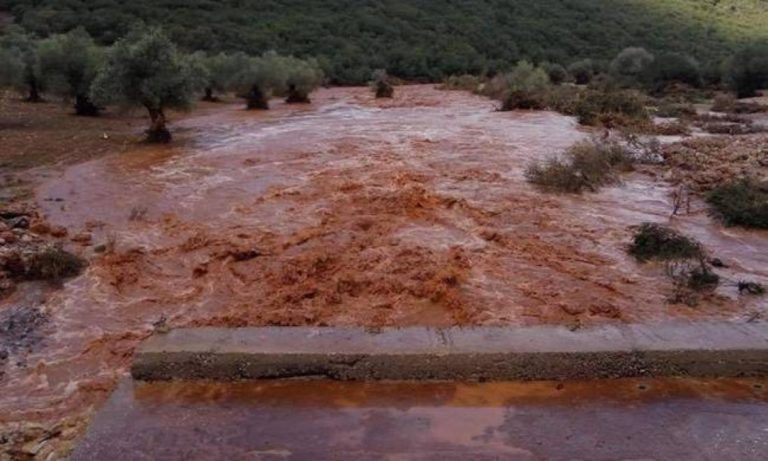 Επέλαση «Δαιδάλου» στην Κρήτη