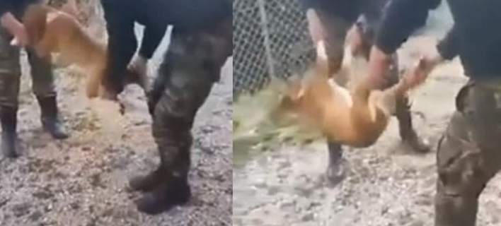 Εμφανίστηκαν οι οπλίτες που βασάνισαν τον σκύλο -«Ηταν ατυχές συμβάν, ζητάμε την κατανόησή σας»