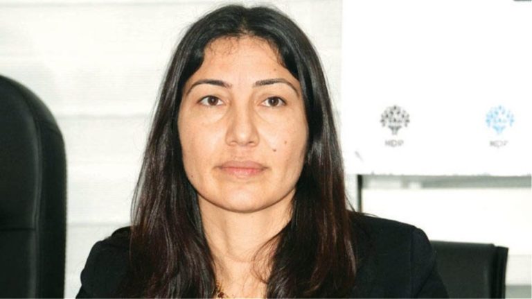 Ασυλο στην Ελλάδα ζήτησε πρώην Τουρκάλα βουλευτής που πέρασε παράνομα στον Εβρο