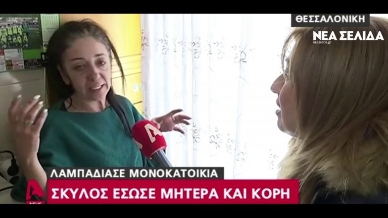 Θεσσαλονίκη: Ο σκύλος έσωσε μαμά και κόρη – Άρπαξε φωτιά το σπίτι όταν έπεσαν ρούχα στο ηλεκτρικό σώμα θέρμανσης