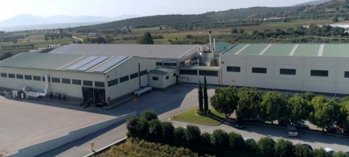 Η ελληνική εταιρεία που «έμαθε» τα ντολμαδάκια σε όλο τον κόσμο -Από τις ΗΠΑ ως το Ιράν