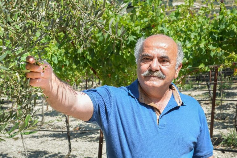 Για την αναγέννηση του Πρωτογενούς Τομέα
