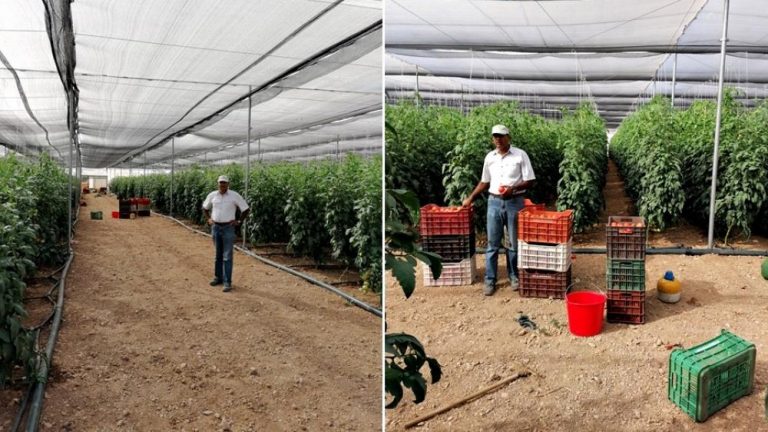 Αυτός είναι ο Ινδός αγρότης που ήρθε στην Ελλάδα με 200 δολάρια και έγινε επιχειρηματίας