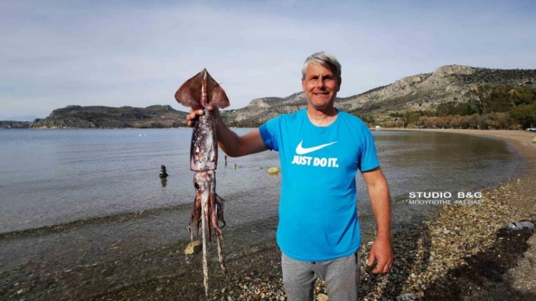 Ναύπλιο: Καλαμάρι-«γίγαντα» έπιασε ερασιτέχνης ψαράς