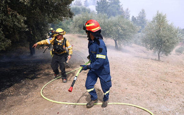 Αρχίζει η εκπαίδευση των πρώτων Ελλήνων δασοκομάντος