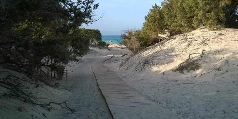 Χρυσή: Τέλος στις ορδές των τουριστών για να σωθεί το Γαϊδουρονήσι