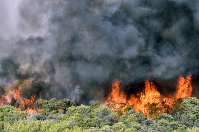 Πυροσβεστική: Ξεκίνησε από σήμερα η αντιπυρική περίοδος -Αναλυτικά οι οδηγίες προστασίας για ενδεχόμενο φωτιάς