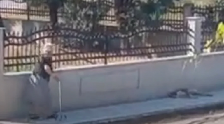 Οργή με βίντεο που δείχνει ηλικιωμένη να επιτίθεται σε σκύλο που απλά κοιμόταν