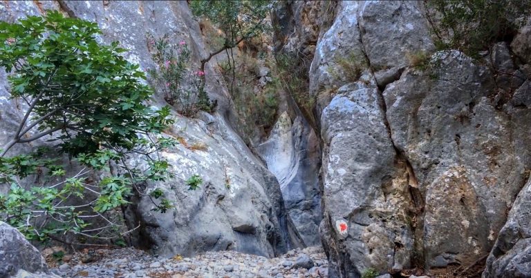 Φαράγγι Κριτσάς: Ένα από τα ομορφότερα φαράγγια της Ανατολικής Κρήτης