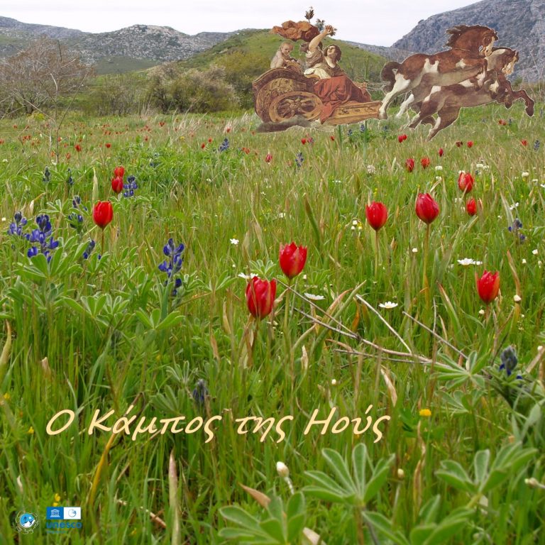 ΔΡΟΜΟΙ ΖΩΗΣ – Γιούς Κάμπος