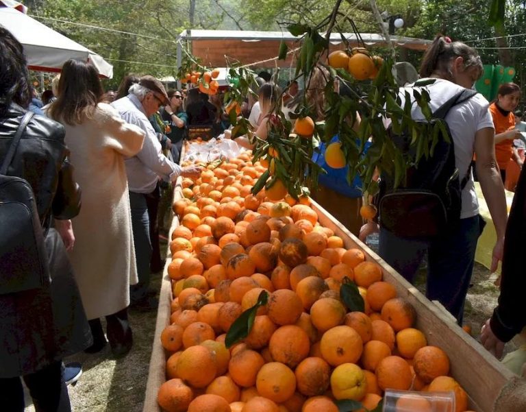 Ξεπέρασε κάθε προσδοκία η 8η Γιορτή Πορτοκαλιού στο Φόδελε.