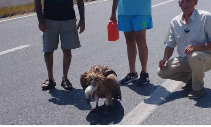 Καταγραφή