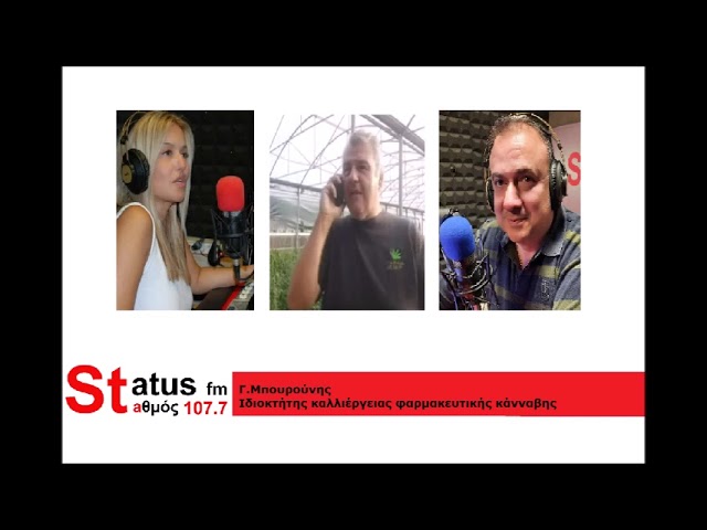 «Τα πρόβατα έφαγαν 300 κιλά κάνναβη και πηδούσαν πιο ψηλά από τα κατσίκια» -Τι αποκάλυψε ο ιδιοκτήτης της καλλιέργειας