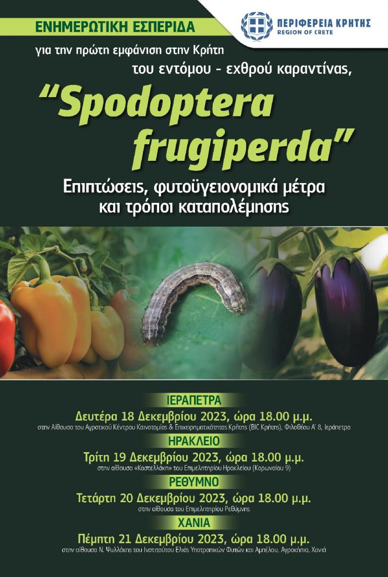 Ενημερωτικές εκδηλώσεις από την Περιφέρεια Κρήτης για την πρώτη εμφάνιση του εντόμου – εχθρού καραντίνας «Spodoptera fruigipedra»
