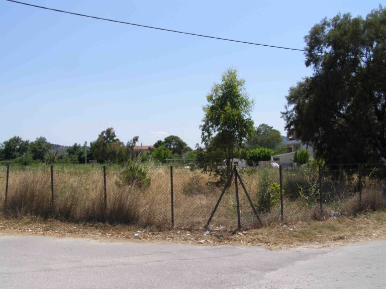 Παράταση ως τις 15 Ιουνίου για τον καθαρισμό οικοπέδων: Όσα πρέπει να κάνουν οι ιδιοκτήτες, ποια είναι τα πρόστιμα