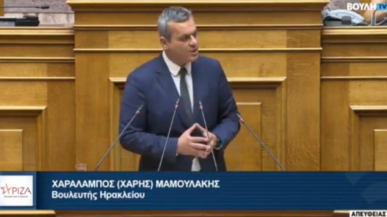 Κοινοβουλευτική Αναφορά προς τους Υπουργούς Περιβάλλοντος & Ενέργειας και Ψηφιακής Διακυβέρνησης