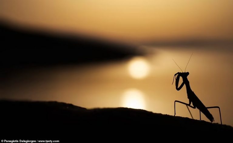 Ένας Έλληνας στους νικητές των βραβείων Travel Photographer of the Year -Η φωτογραφία του που ξεχώρισε