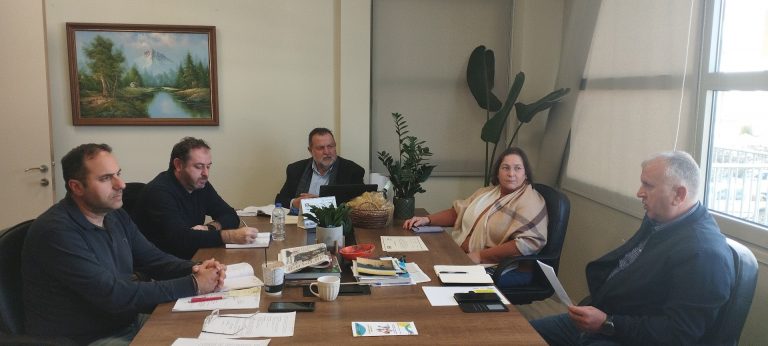 Δωρεάν στειρώσεις ζώων συντροφιάς για τη μείωση των ανεξέλεγκτων γεννήσεων