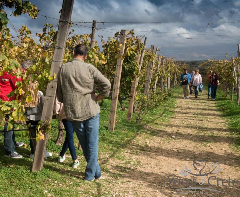 Ανοικτή πρόσκληση σε εστιατόρια της Κρήτης για συνεργασία στο πλαίσιο της εκδήλωσης “Ανοικτές Πόρτες” στα Οινοποιεία της Κρήτης, 18 & 19 Μαΐου 2024.