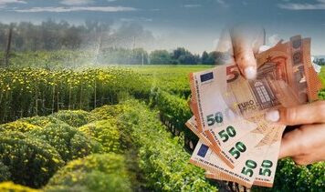 Εν ενεργεία αντιδήμαρχος στους συλληφθέντες για τις παράνομες επιδοτήσεις 3 εκατ. από τον ΟΠΕΚΕΠΕ, στην Κρήτη -Ο ρόλος του