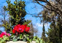 Καιρός: Ποιες ημέρες και πού θα βρέχει μέχρι το Πάσχα