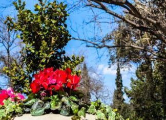 Φεύγει η σκόνη το Σαββατοκύριακο, βελτιώνεται ο καιρός -Ξανά βροχές από Τρίτη, η πρόγνωση των μετεωρολόγων