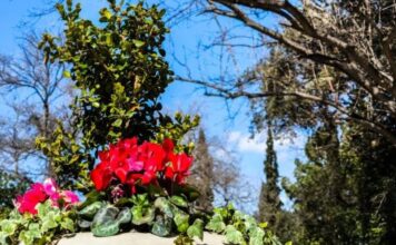 Φεύγει η σκόνη το Σαββατοκύριακο, βελτιώνεται ο καιρός -Ξανά βροχές από Τρίτη, η πρόγνωση των μετεωρολόγων