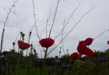 Με τι καιρό θα κάνουμε Πρωτομαγιά: Οι περιοχές που θα είναι σαν φθινόπωρο