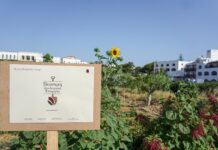 Το Metaxa Hospitality Group στις πιο «Βιώσιμες Επιχειρήσεις της Ελλάδας» για δεύτερη συνεχή χρονιά