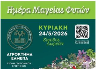 Το Ελληνικό Μεσογειακό Πανεπιστήμιο γιορτάζει τη Διεθνή Ημέρα Μαγείας Φυτών!