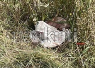 Ηράκλειο: «Ήταν βίαιος μαζί της» -Η αδελφή της 28χρονης που παρέσυρε με ΙΧ ο σύζυγός της περιέγραψε πώς τον υποπτεύθηκαν