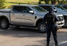 Επιχείρηση-μαμούθ της ΕΛΑΣ στην Κρήτη: 15 συλλήψεις σε έρευνες για ναρκωτικά, όπλα, παράνομες επιδοτήσεις ΟΠΕΚΕΠΕ