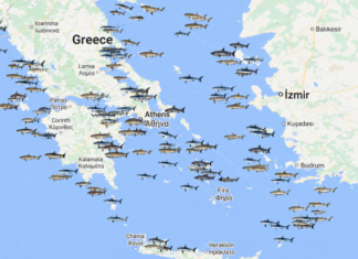 Ο χάρτης με τους καρχαρίες στην Ελλάδα – Σε ποιες θάλασσες κόβουν βόλτες