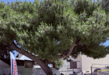 Το «Εργο-τάξη-ο» ταξίδεψε στη Σητεία: Εθελοντές της Χαλκιαδάκης Α.Ε. ανανέωσαν το Δημοτικό Σχολείο Πισκοκεφάλου!