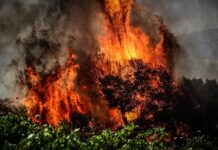Μαίνεται ανεξέλεγκτη η φωτιά στο Ρέθυμνο: Δεν πετούν εναέρια μέσα εξαιτίας θυελλωδών ανέμων -Έφτασαν τα 125 χλμ./ώρα οι ριπές