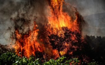 Μαίνεται ανεξέλεγκτη η φωτιά στο Ρέθυμνο: Δεν πετούν εναέρια μέσα εξαιτίας θυελλωδών ανέμων -Έφτασαν τα 125 χλμ./ώρα οι ριπές