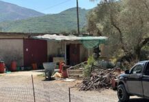 Ρέθυμνο: «Έκανα τον πεθαμένο…» -Η συγκλονιστική περιγραφή του 69χρονου κτηνοτρόφου που πυροβολήθηκε και του έκοψαν τη γλώσσα