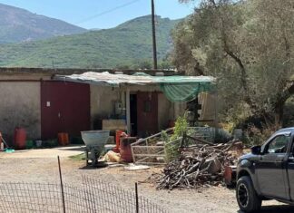 Ρέθυμνο: «Έκανα τον πεθαμένο…» -Η συγκλονιστική περιγραφή του 69χρονου κτηνοτρόφου που πυροβολήθηκε και του έκοψαν τη γλώσσα