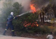 Φωτιά στο Ρέθυμνο: Πάνω από 200 πυροσβέστες στη μάχη, καθηλωμένα τα εναέρια μέσα -Σε κατάσταση έκτακτης ανάγκης ο Δήμος Αγίου Βασιλείου