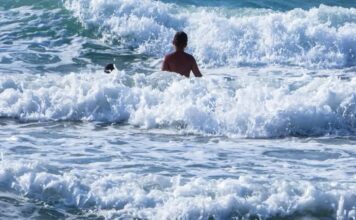 Κλέαρχος Μαρουσάκης: Προ των πυλών 48ωρο με ισχυρά μελτέμια και κίνδυνο φωτιάς -Ζέστη πάλι από την Κυριακή