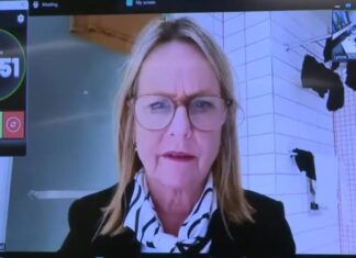 Δημοτική σύμβουλος στη Νέα Ζηλανδία συμμετείχε σε συνεδρίαση από το μπάνιο της -Με φόντο απλωμένα εσώρουχα