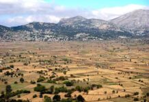 Βράβευση αριστούχων μαθητών με καταγωγή από το Οροπέδιο Λασιθίου