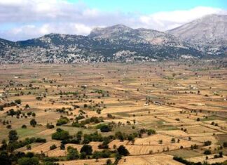 Βράβευση αριστούχων μαθητών με καταγωγή από το Οροπέδιο Λασιθίου