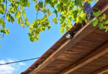 Μια Γαστρονομική Κυριακή γεμάτη Κρήτη για το ROTARY CANDIA