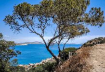 Κλέαρχος Μαρουσάκης: Καιρός «δύο ταχυτήτων» -Η άνοδος της θερμοκρασίας, πότε έρχονται οι φθινοπωρινές βροχές