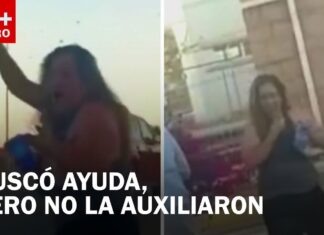 Μια μητέρα έχασε τη ζωή της προσπαθώντας να σώσει τον τρίχρονο γιο της από ένα τεράστιο σμήνος μελισσών.